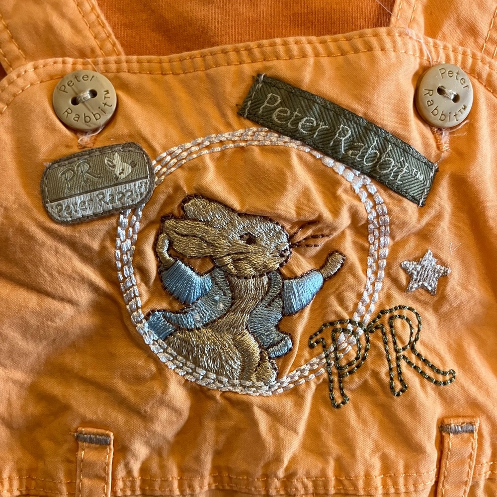 Peter Rabbit Baby Overalls - Picture 2 of 8